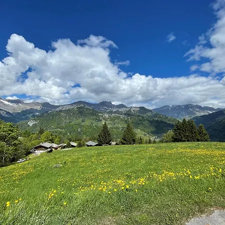 Apartment Cosy Rez De Chaussee 4 Pers. Pres Des Pistes, Equipe Avec Terrasse Et Parking. Crest-Voland